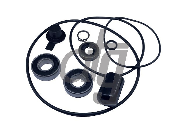 Repair kit for electric steering pump