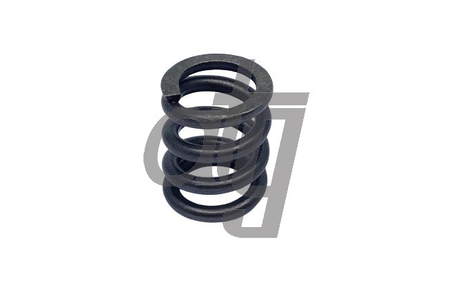 Compression spring