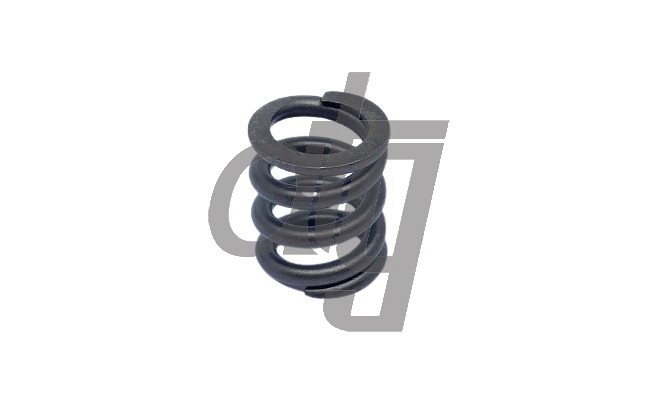 Compression spring