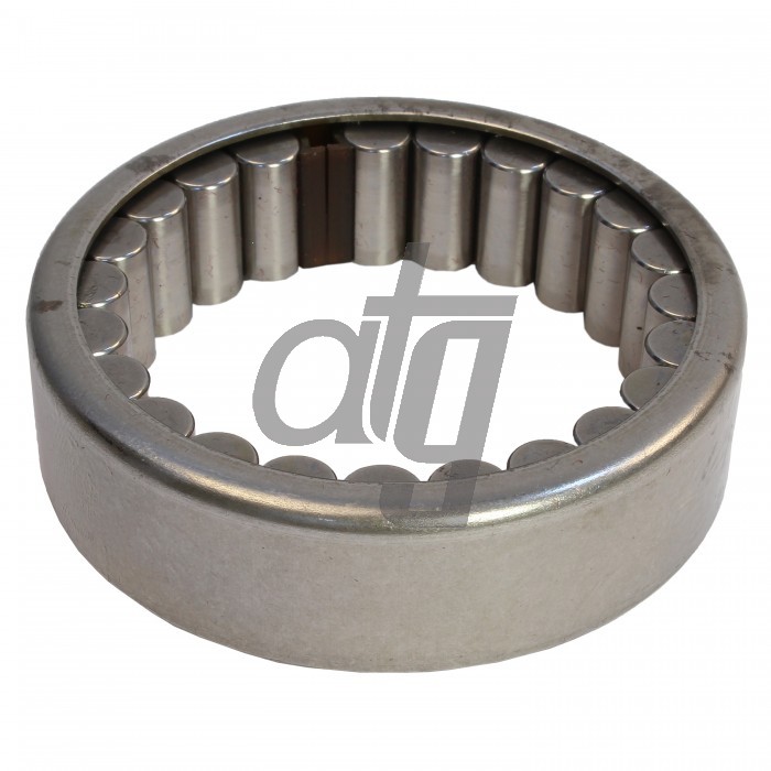 Steering box bearing