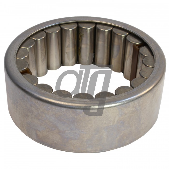 Steering box bearing