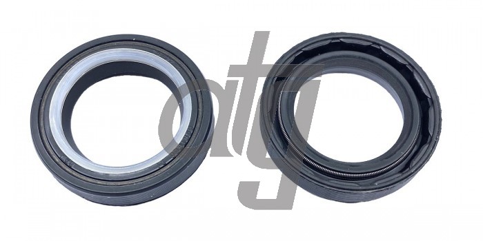 Power steering oil seal