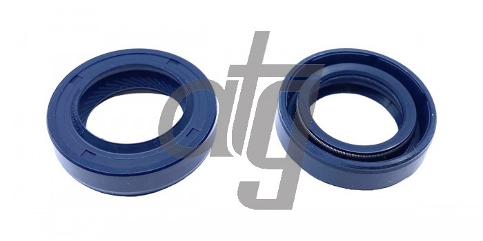 Power steering oil seal