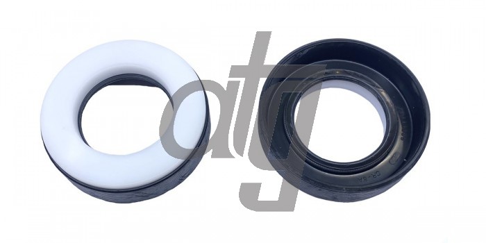 Power steering oil seal