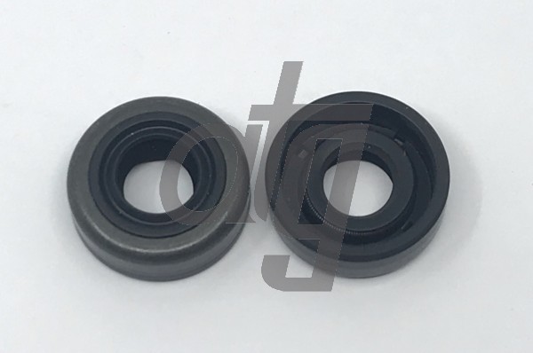 Power steering oil seal