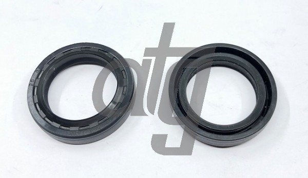 Power steering oil seal