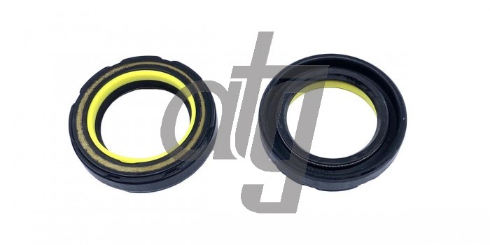 Power steering oil seal