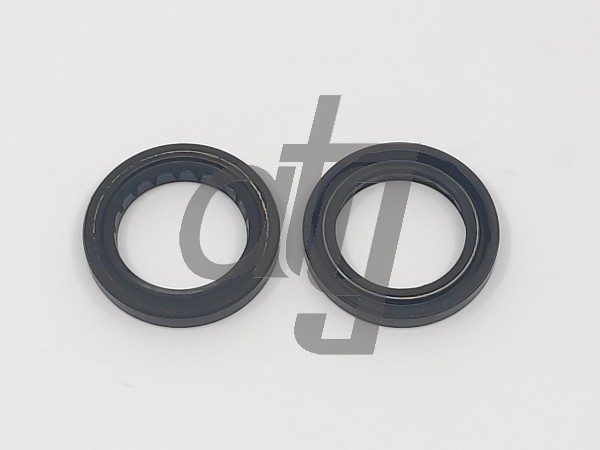 Power steering oil seal