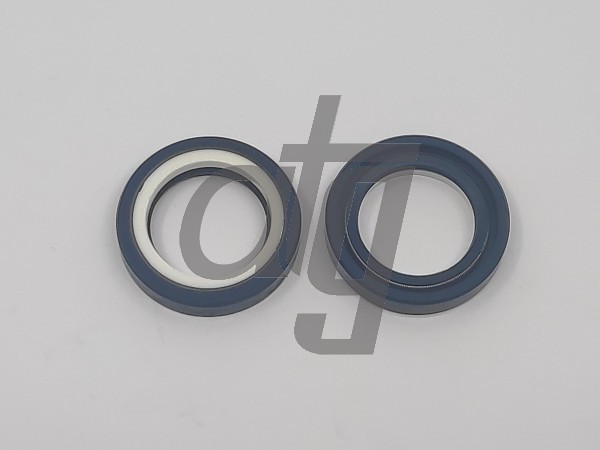 Power steering oil seal