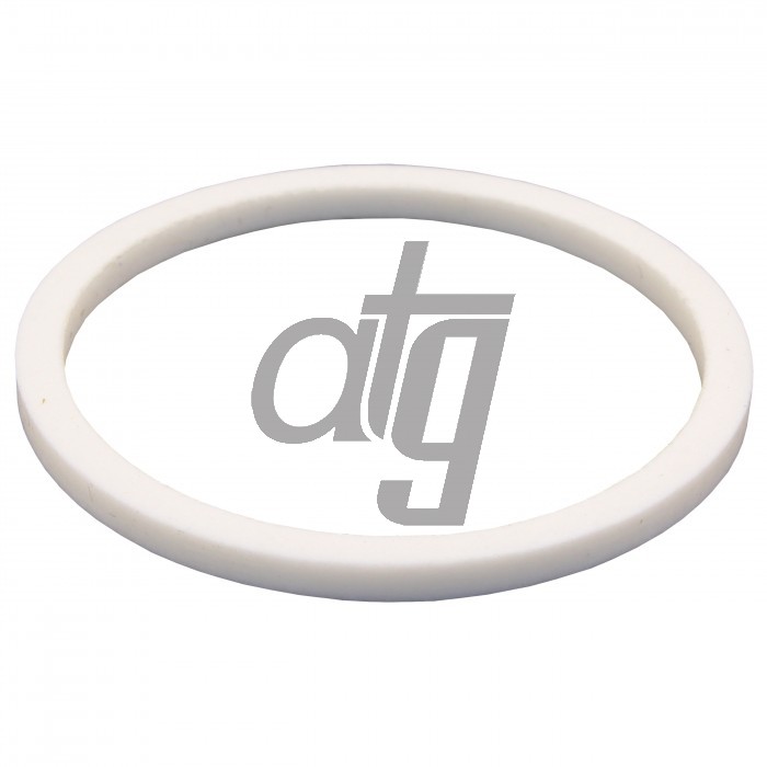 PTFE ring