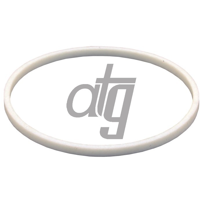 PTFE ring