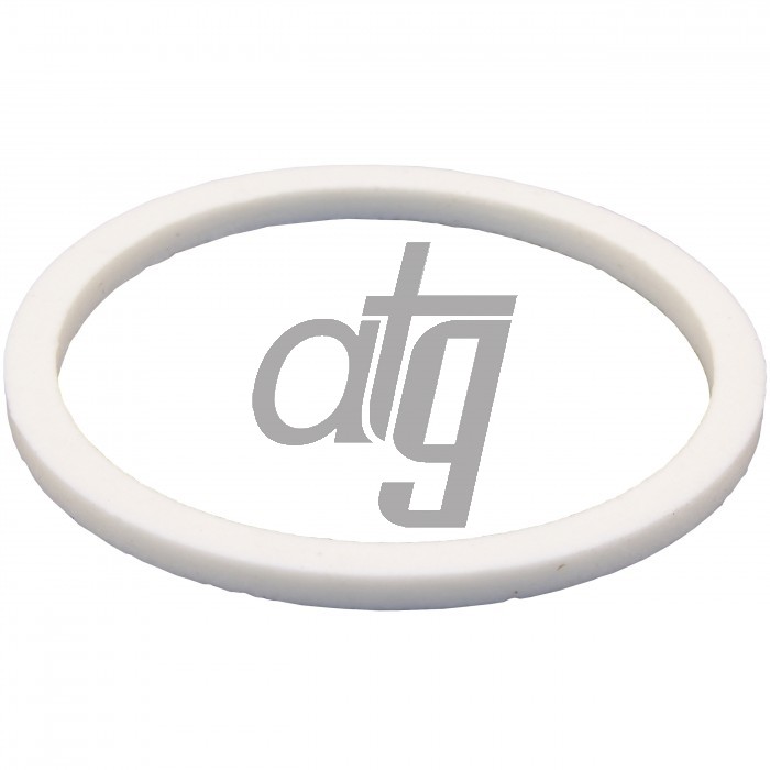 PTFE ring