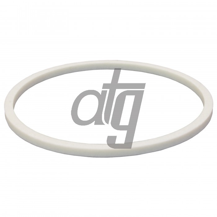 PTFE ring