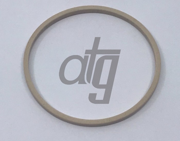 PTFE ring