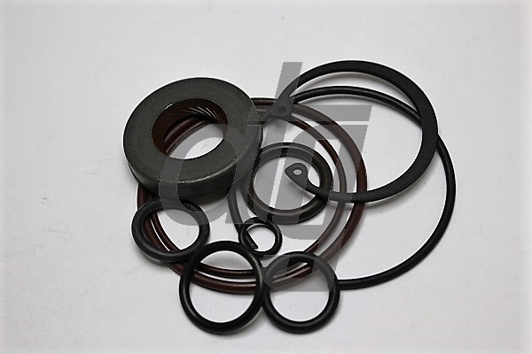 Repair kit for steering pump