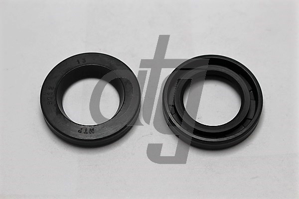 Power steering oil seal