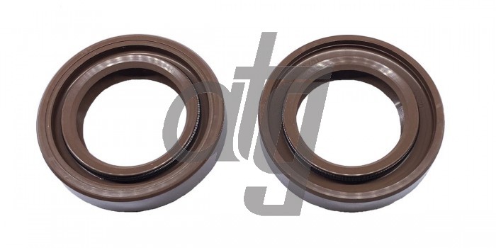 Power steering oil seal