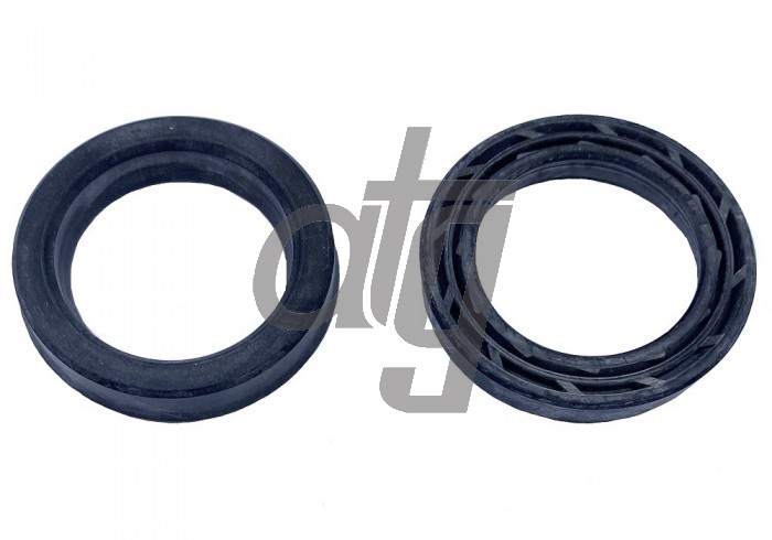 Power steering oil seal