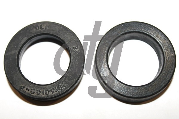 Power steering oil seal