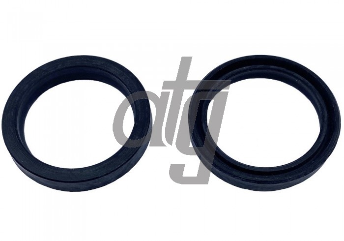 Power steering oil seal