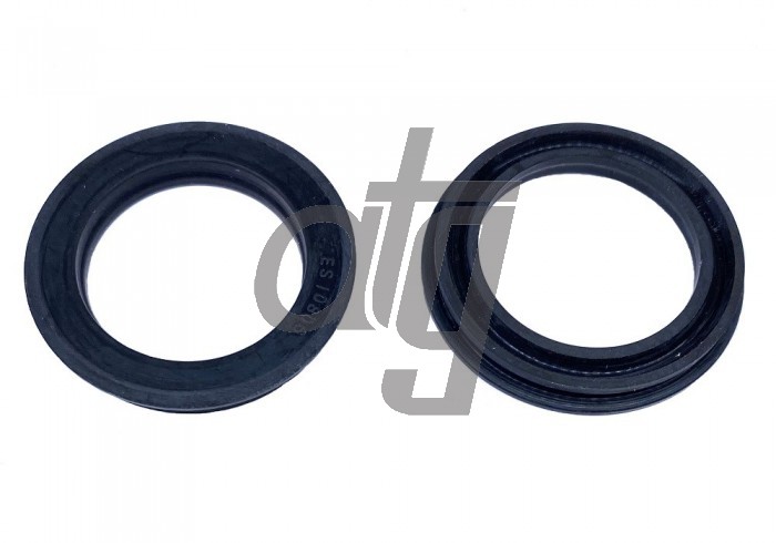 Power steering oil seal