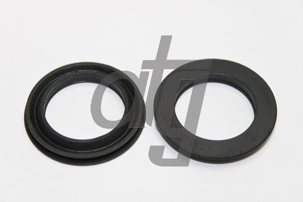 Power steering oil seal