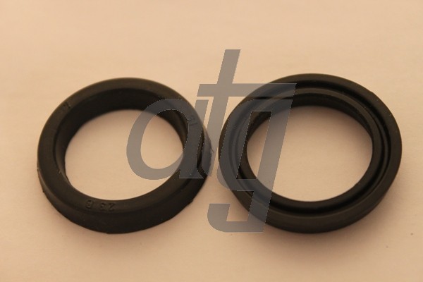 Power steering oil seal