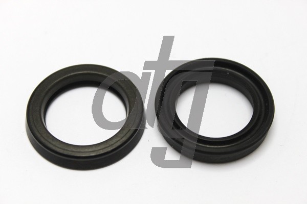 Power steering oil seal