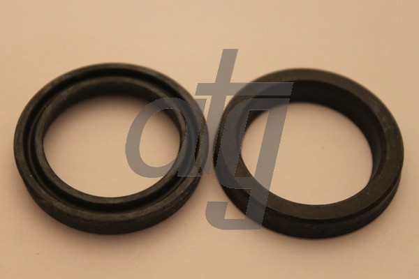 Power steering oil seal