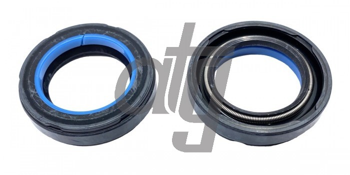 Power steering oil seal