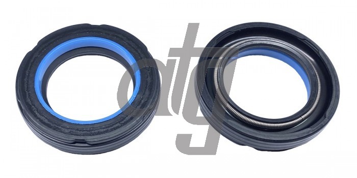 Power steering oil seal