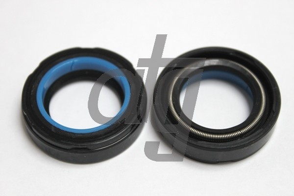 Power steering oil seal