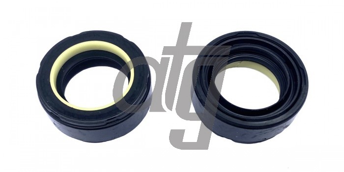 Power steering oil seal