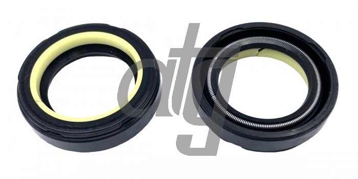 Power steering oil seal