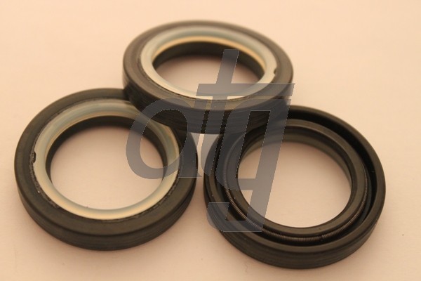 Power steering oil seal