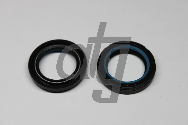 Power steering oil seal