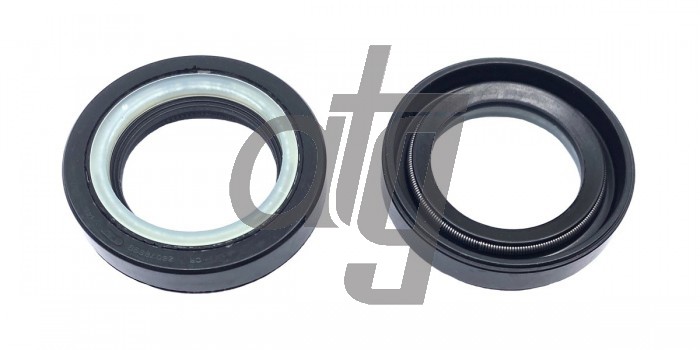 Power steering oil seal