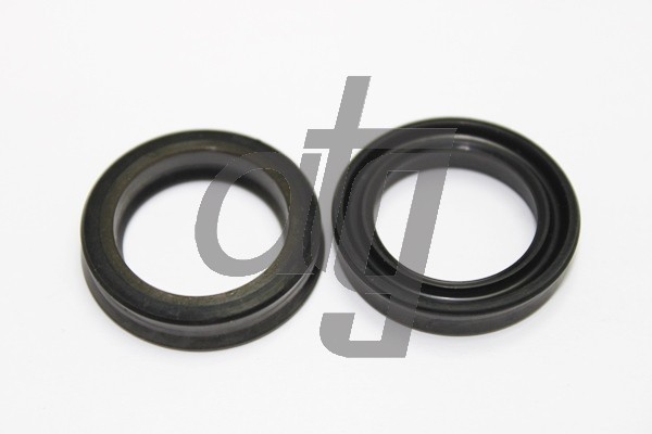 Power steering oil seal