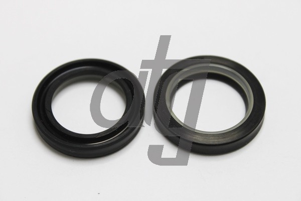 Power steering oil seal