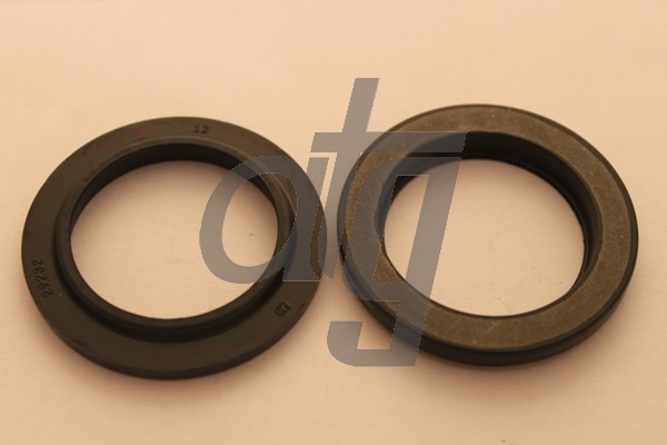 Power steering oil seal