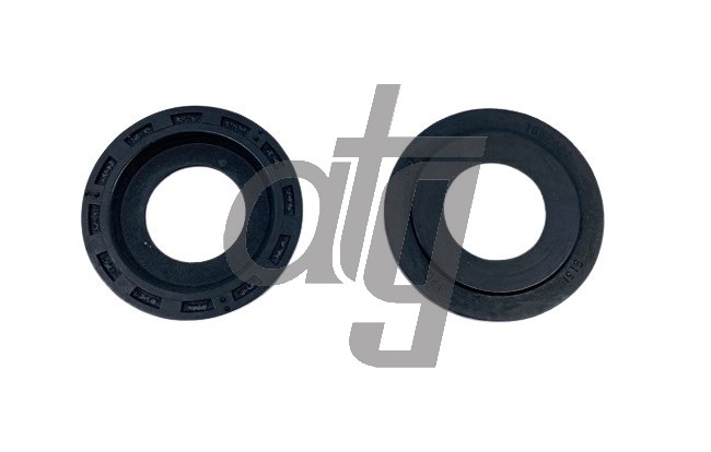 Power steering oil seal