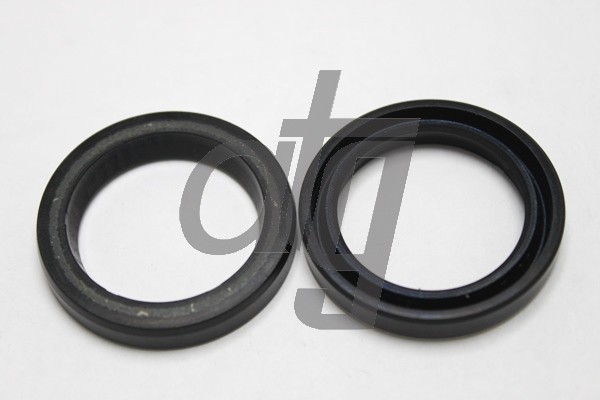 Power steering oil seal