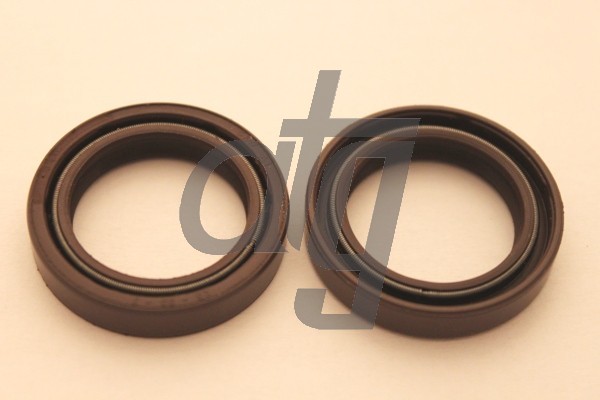 Power steering oil seal