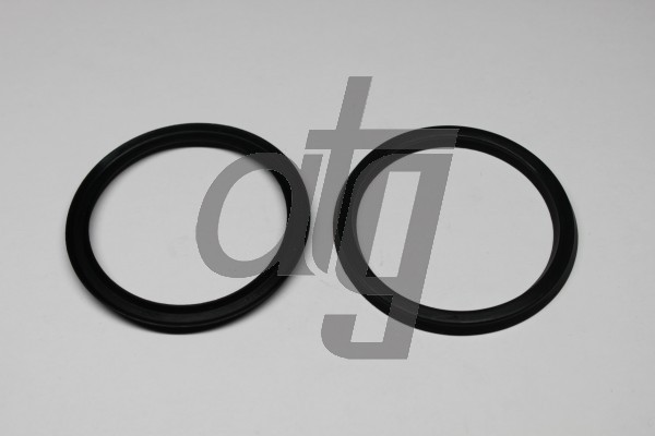 Power steering oil seal