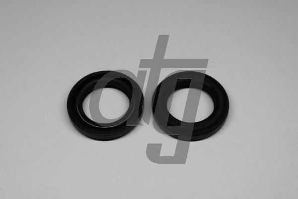 Power steering oil seal