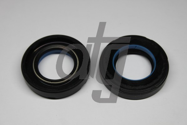 Power steering oil seal