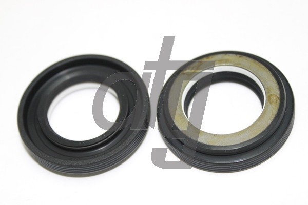 Power steering oil seal