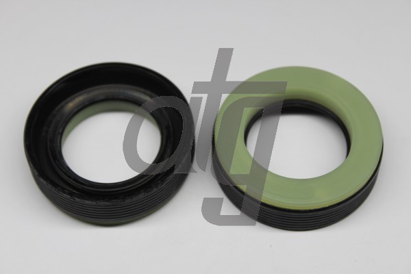 Power steering oil seal