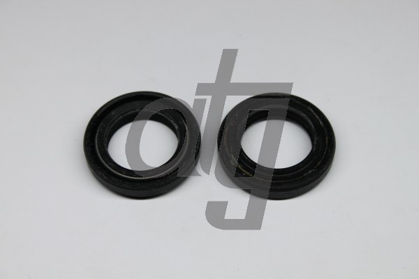 Power steering oil seal