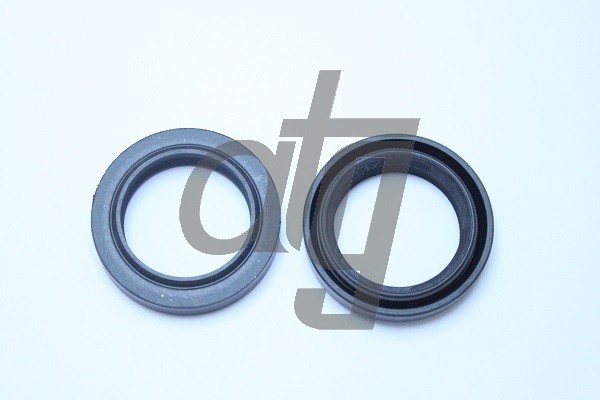 Power steering oil seal